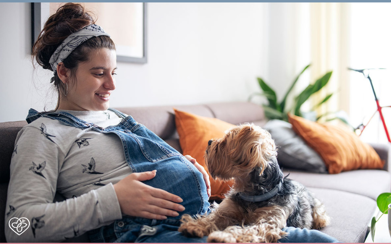 woman with large pregnant belly